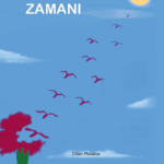 Kadınların Zamanı